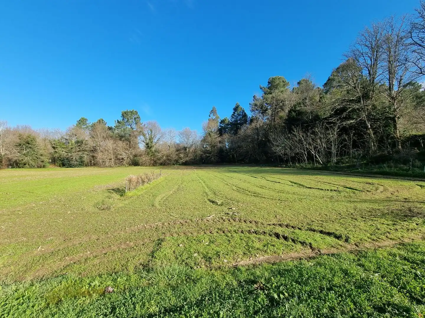 Houses for sale in Teo