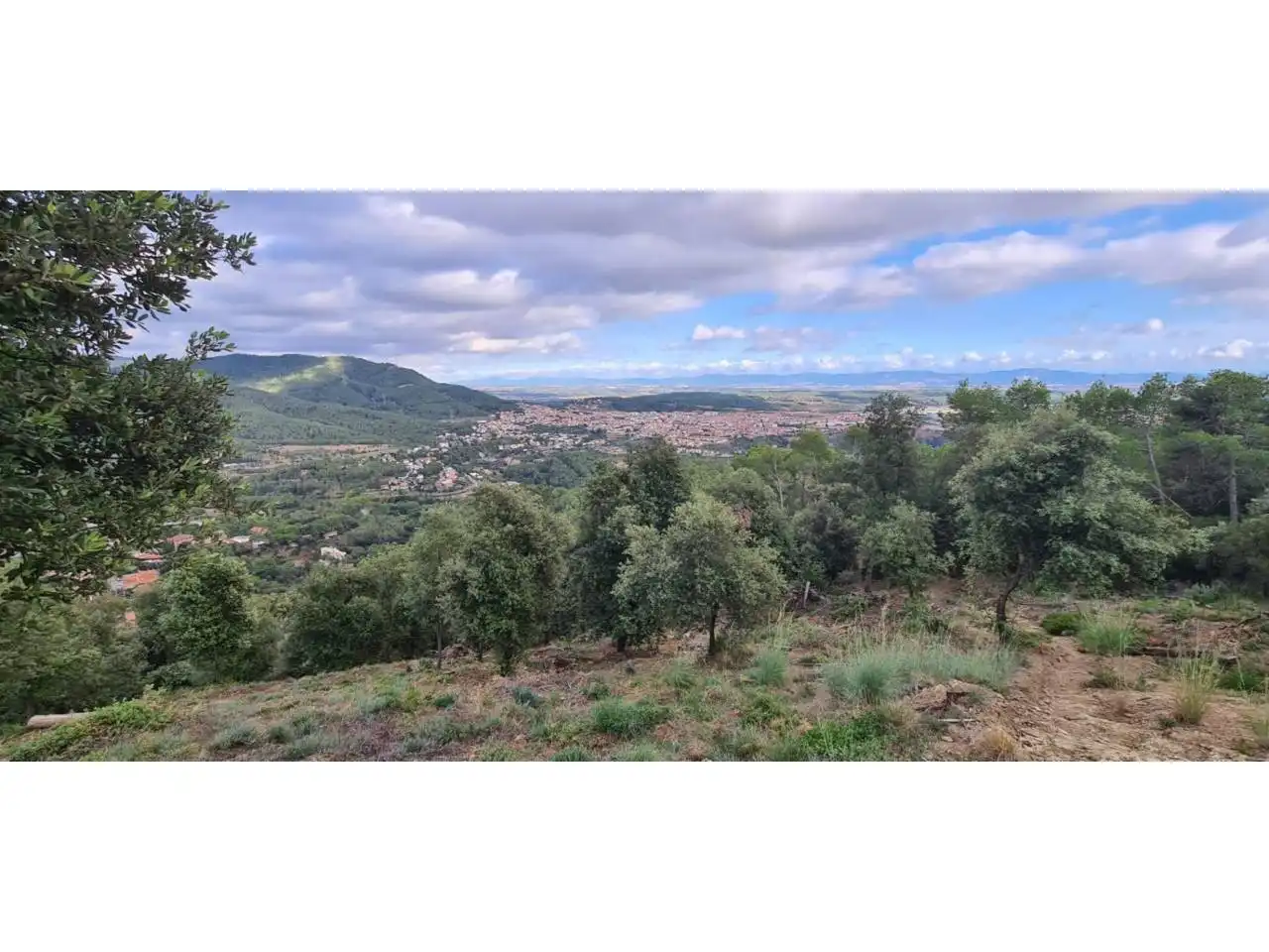 Terreny rústic en venda a Calle Serra de Sant Feliu, imagen 2