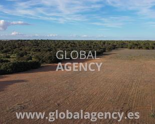 Land for sale in  Albacete Capital