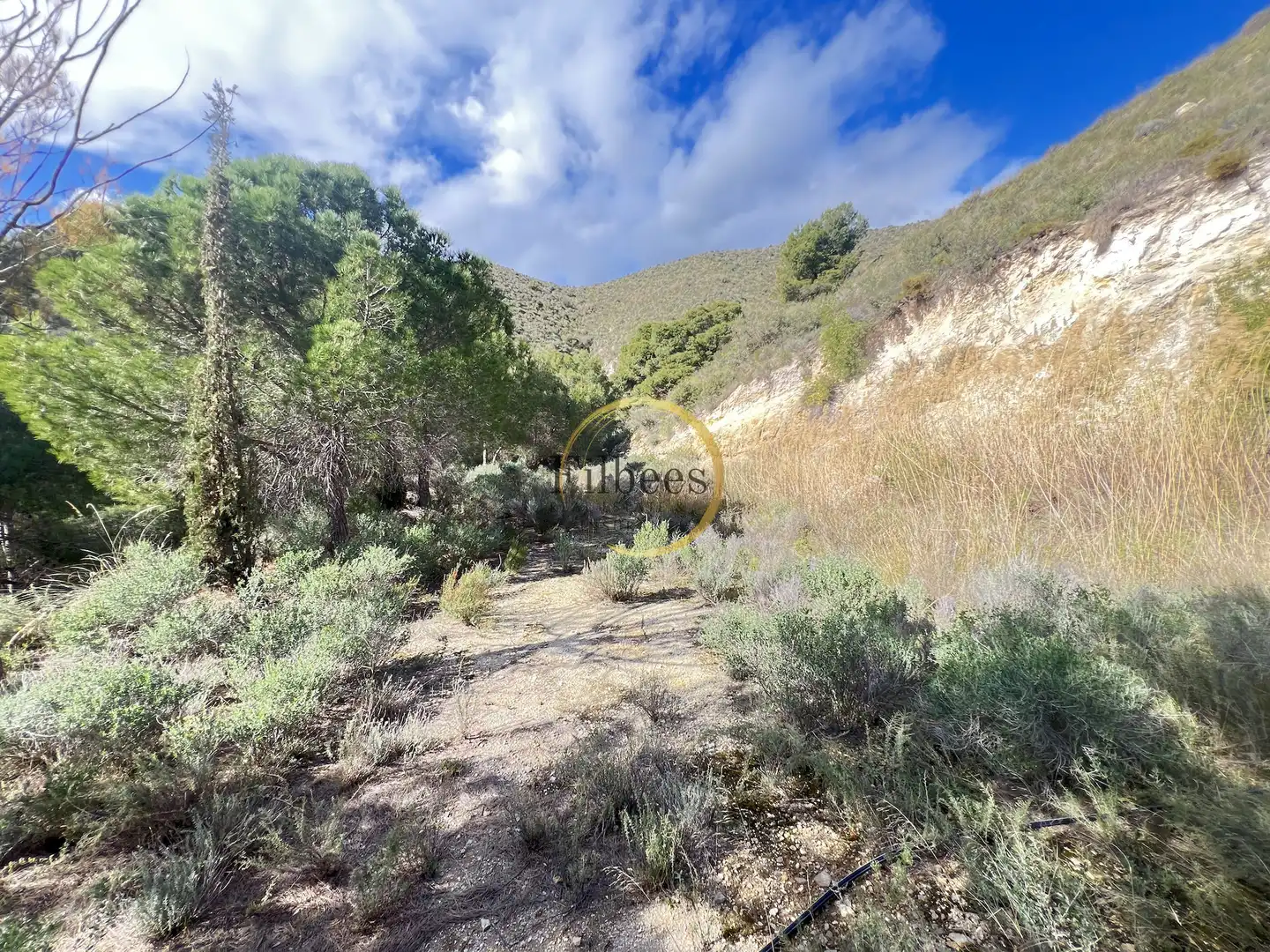 Finca rústica en venta en Morata