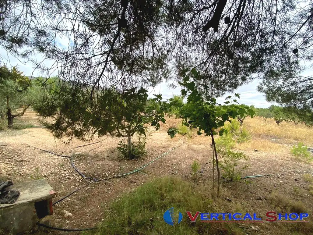 Wohnbaugrundstück zum Verkauf in Vereda Santa Ana, imagen 5