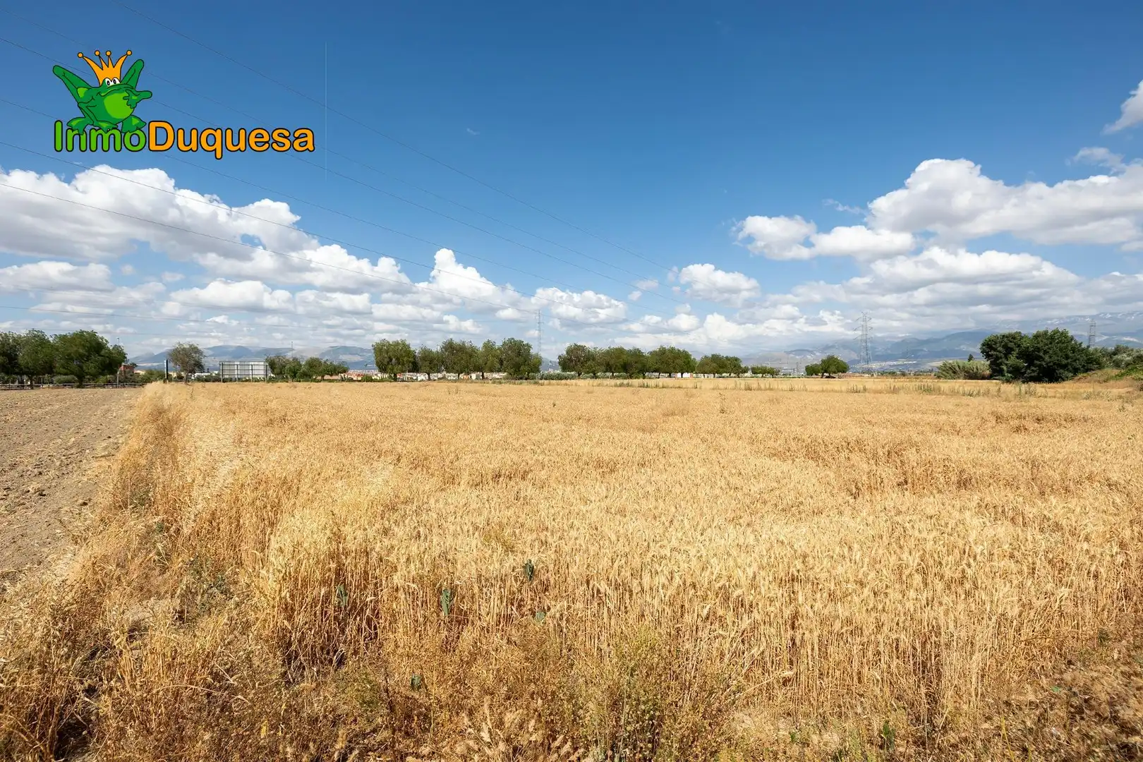 Finca rústica en venda en Las Gabias
