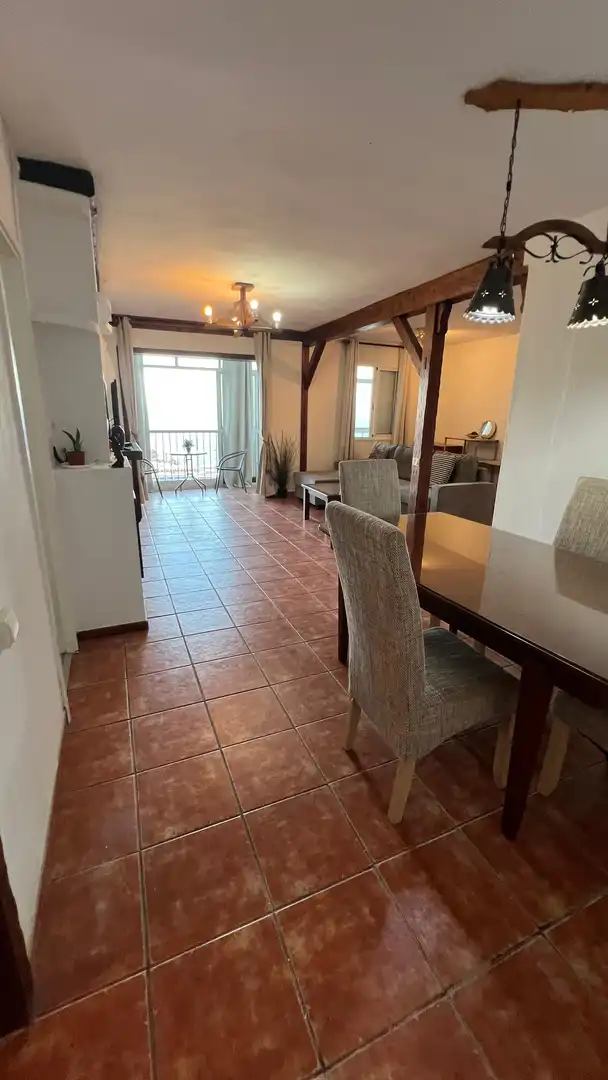 Sala de estar de Piso de alquiler en Santa Cruz de Tenerife con Jardín privado, Terraza y Amueblado