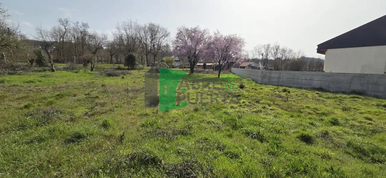 Terreni e lotti in vendita a O Pereiro de Aguiar, imagen 4