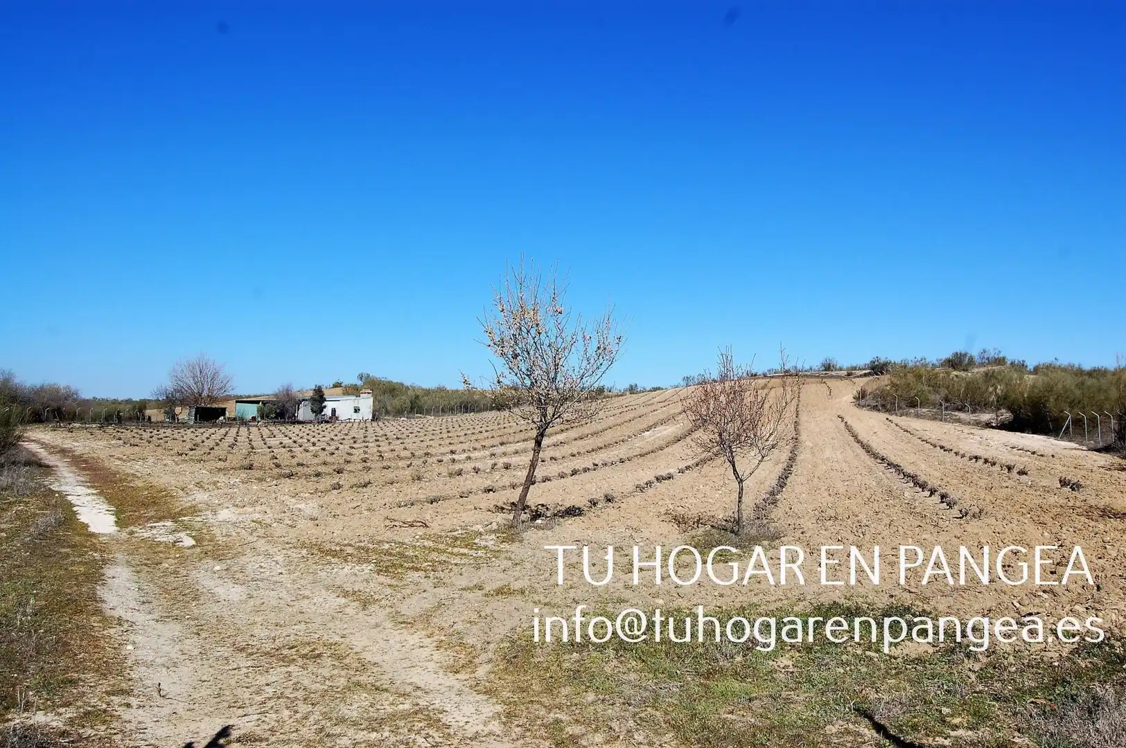 Rural land for sale in El Álamo, imagen 20
