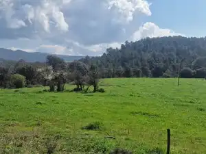 Country homes for sale in Santa Maria d'Oló
