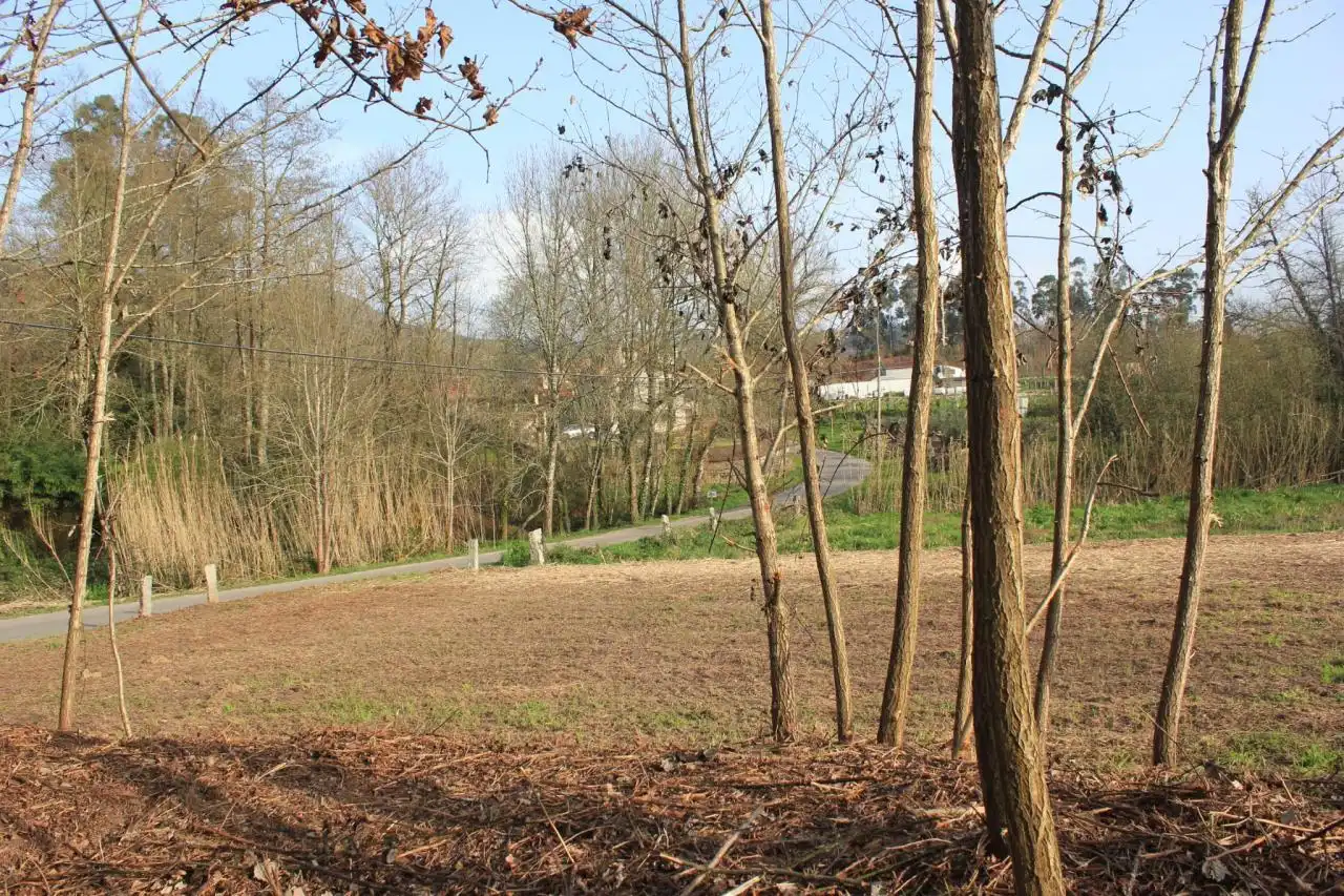 Residential zum Verkauf in Salvaterra de Miño