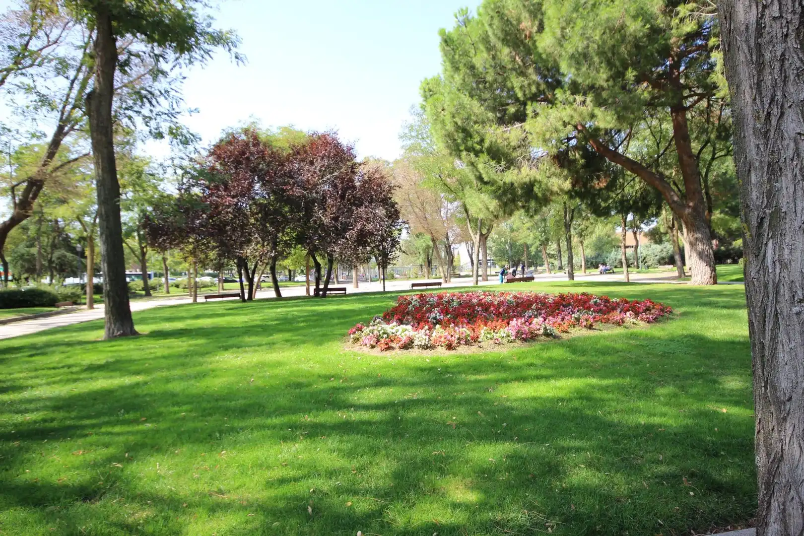 Jardí de Traster en venda en Madrid