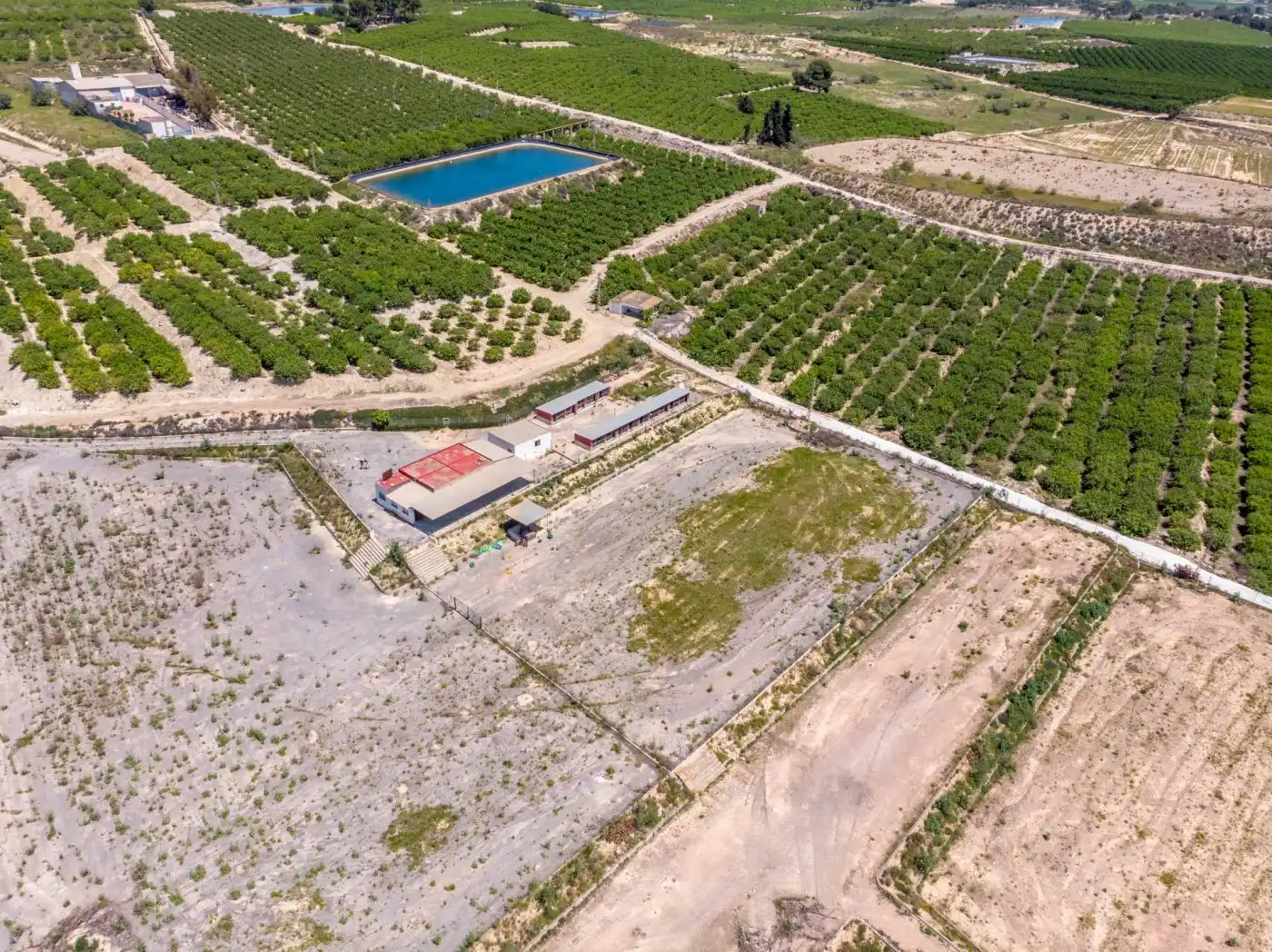 Country house for sale in Los Montesinos, imagen 42