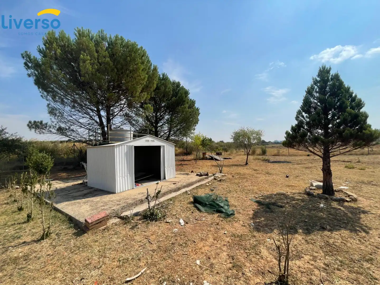 Terreno rústico en venta en Zona Rural, imagen 6