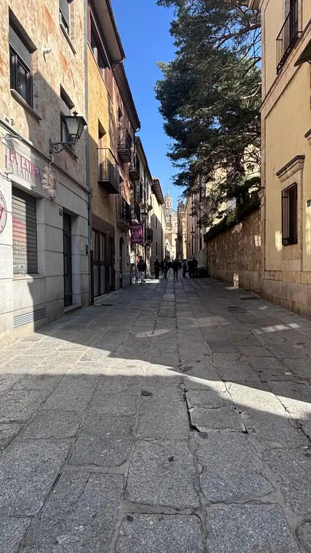 Exterior view of Commercial properties for sale in Salamanca