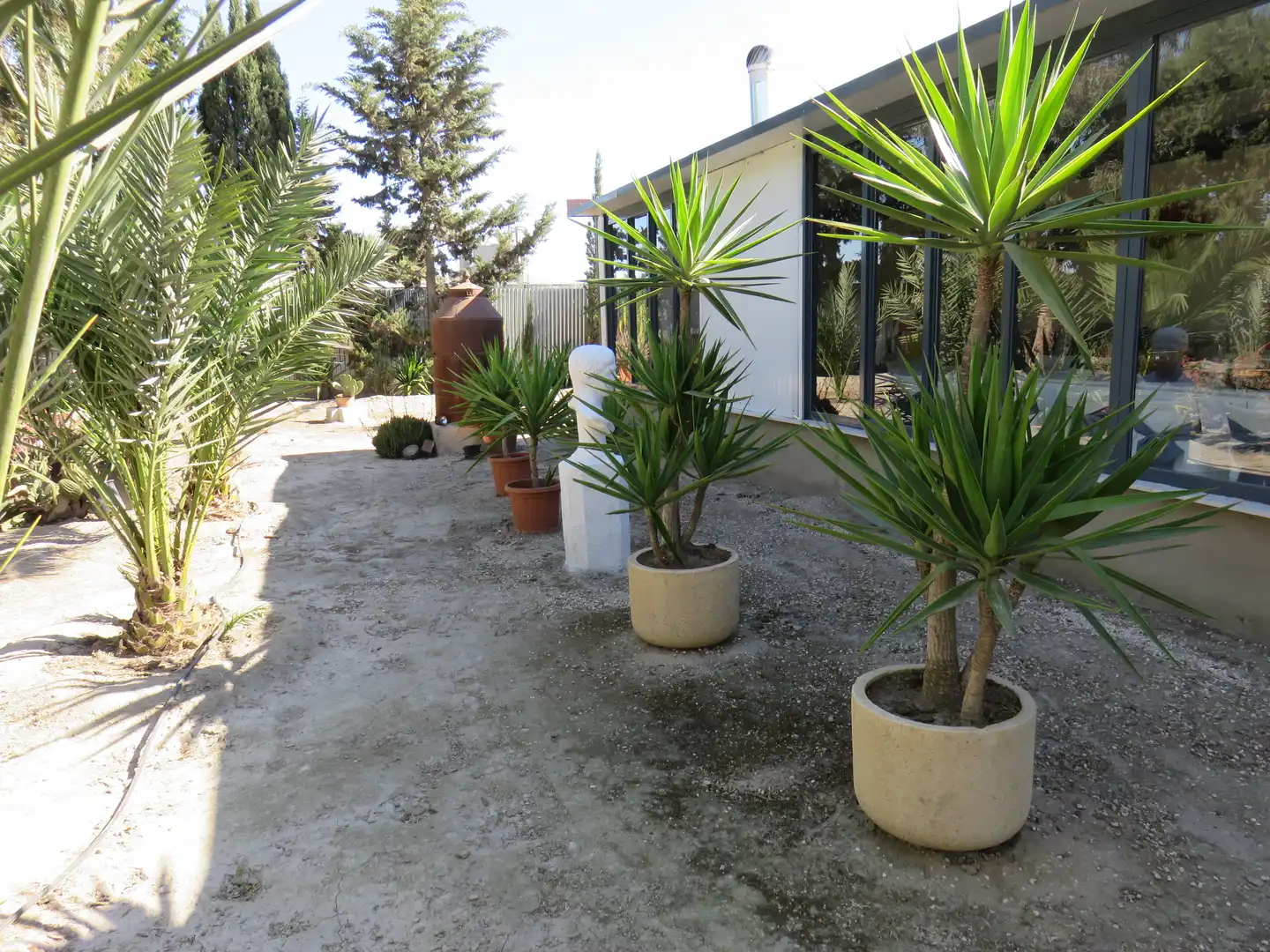 Jardín de Finca rústica en venta en Murcia con Jardín privado, Terraza y Trastero