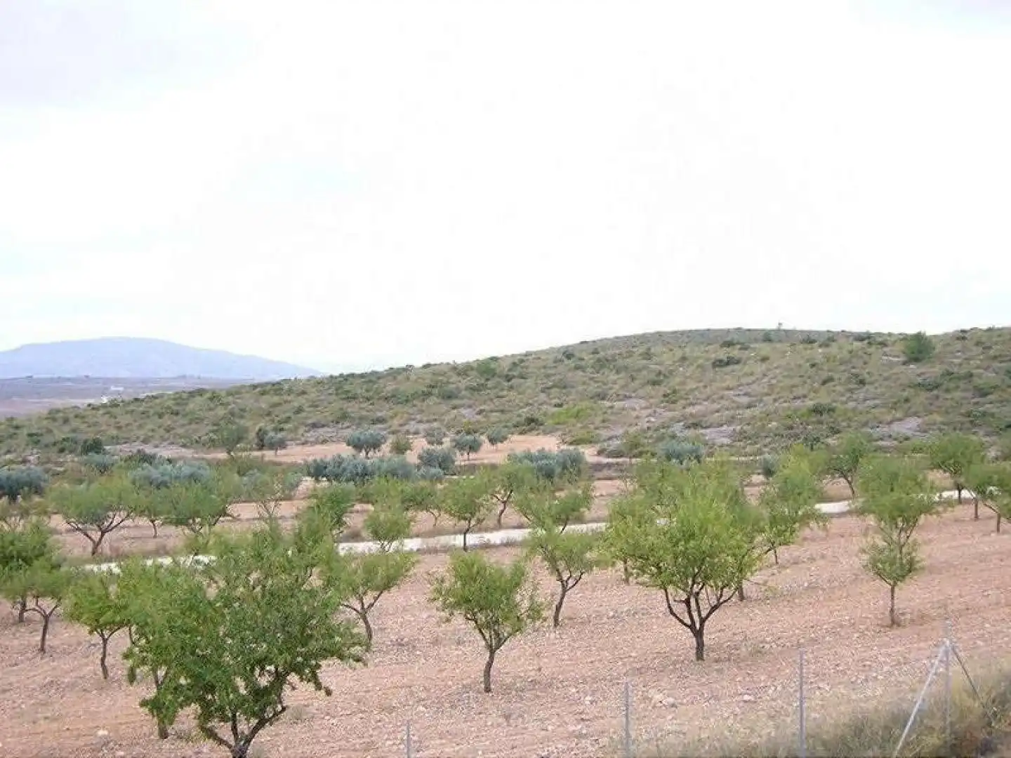 Casa en venda a El Pinós / Pinoso, imagen 19