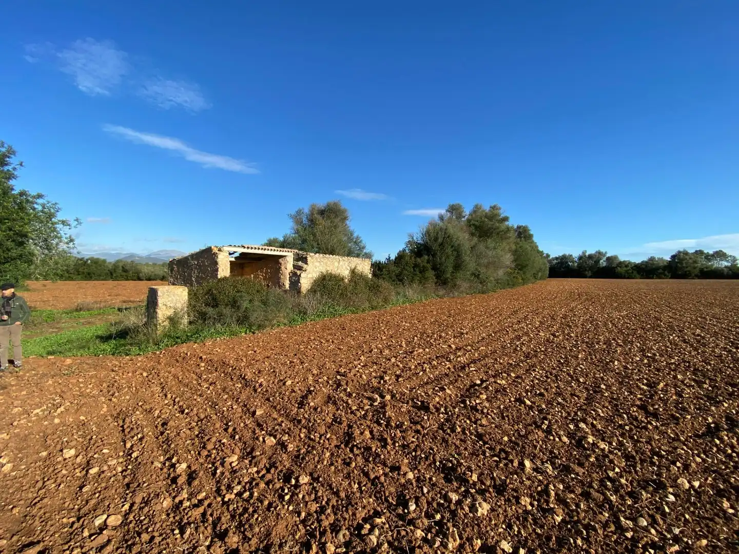 Maison rustique à vendre à Sineu, imagen 25