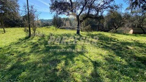 Foto 4 de Casa o chalet en venta en Cerro Muriano,  Córdoba Capital