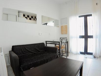 Estudi de lloguer a Pradolongo