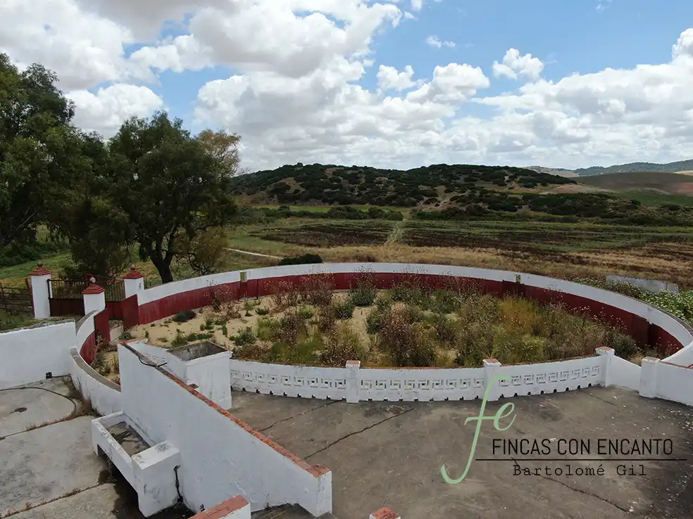 Country homes for sale in Espera