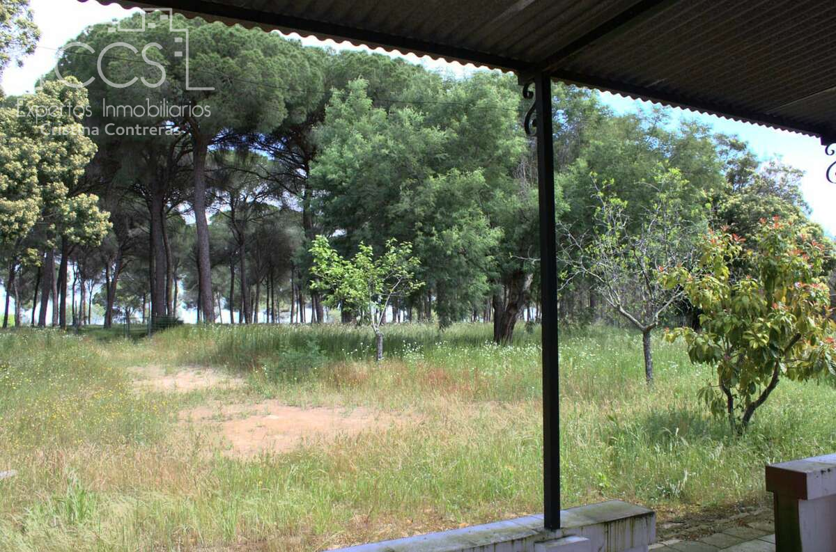 Finca rústica en venda en Almonte amb Traster i Moblat