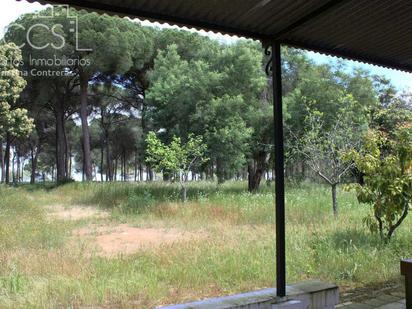Finca rústica en venda a Almonte ciudad, Almonte