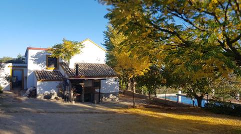 Foto 5 de Edifici en venda a Camino de la Hedionda, Partidas Norte, Ronda