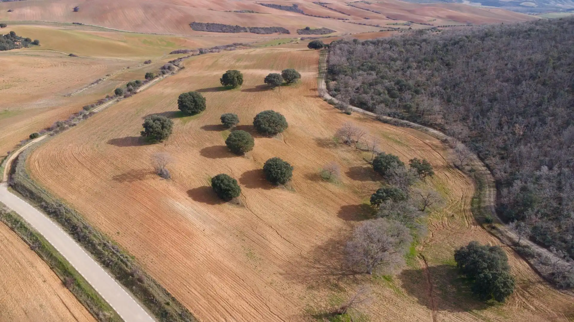 Land for sale in Arbancón