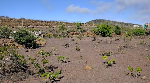 Foto 2 de Terreno en venta en Vilaflor de Chasna, Santa Cruz de Tenerife