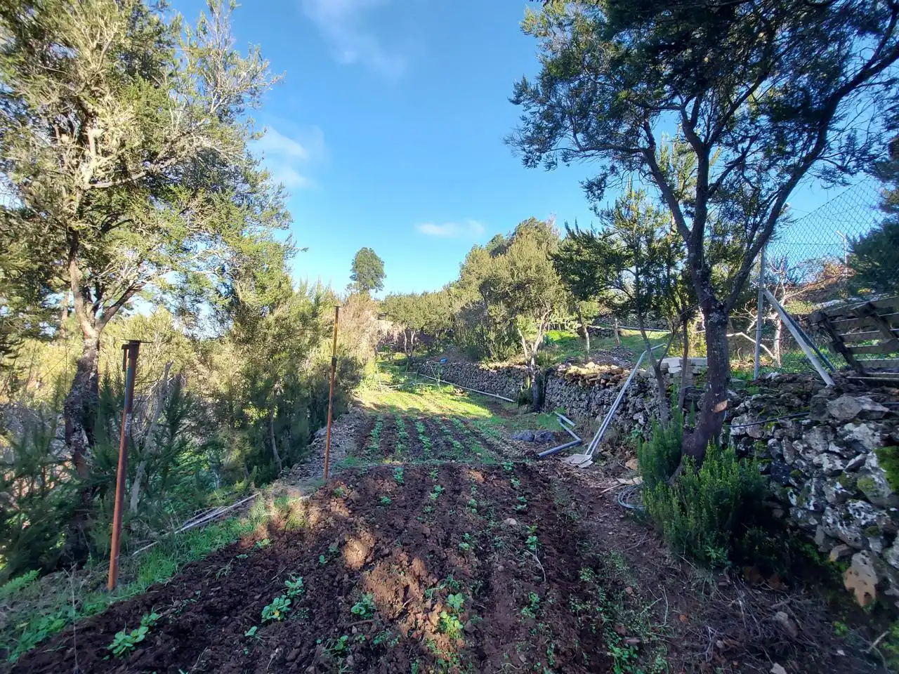 Maison avec jardin à vendre à El Tanque, imagen 14
