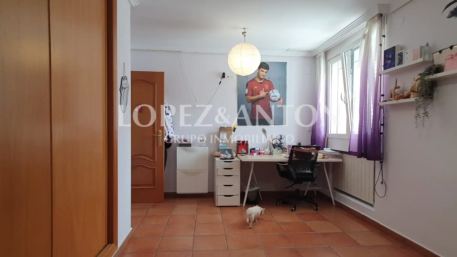 Casa o chalet en venta en Montealegre
