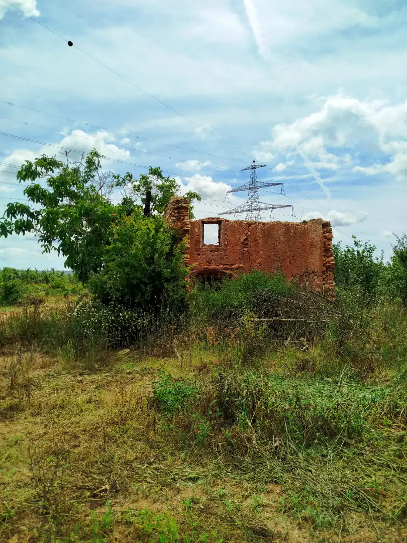 Exterior view of Land for sale in Vilallonga del Camp