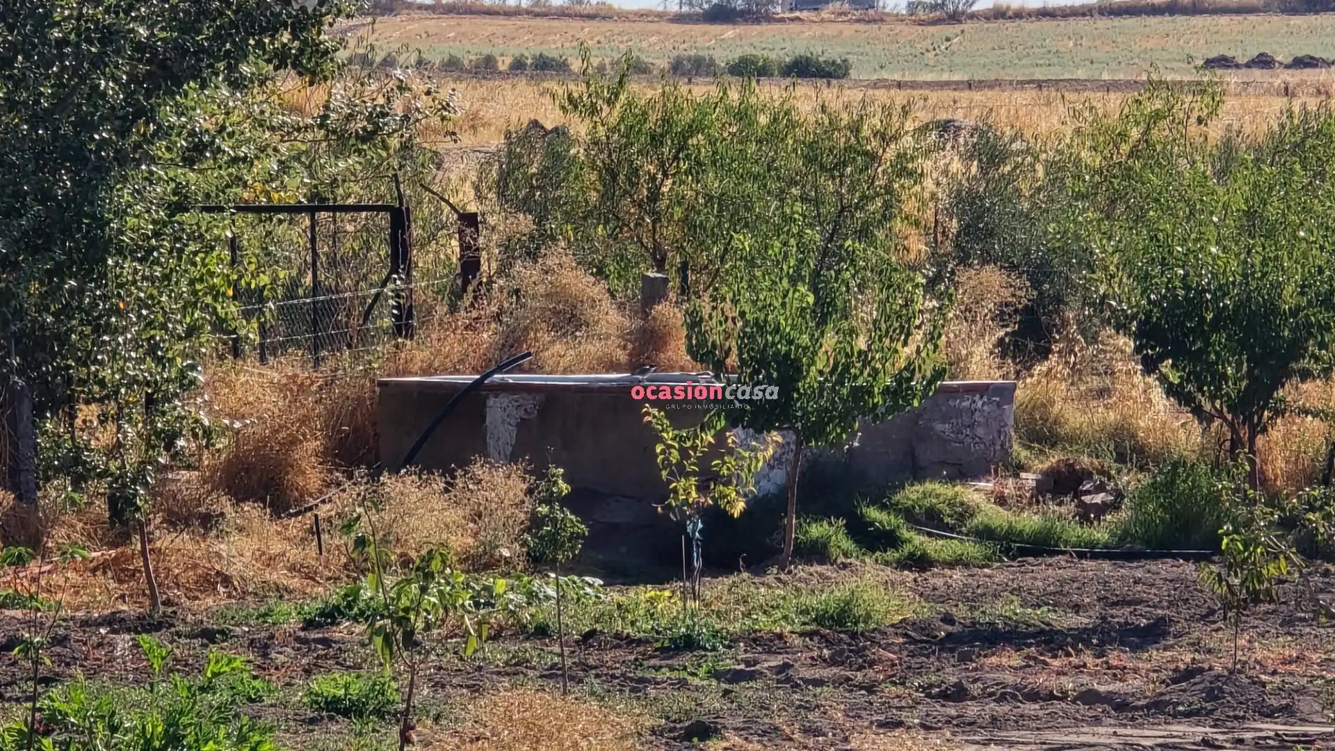 Finca rústica en venta en Villaralto