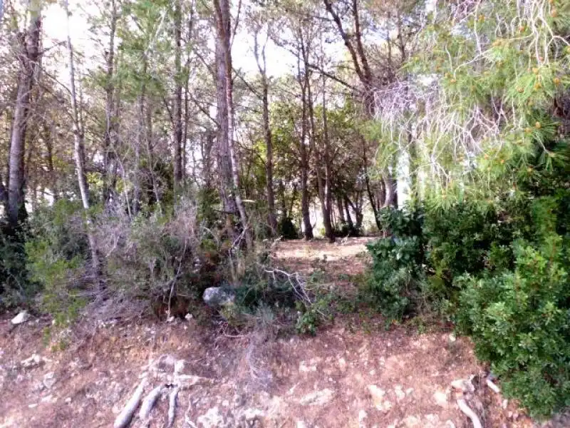 Terrenys i solars en venda a Nonaspe, imagen 3