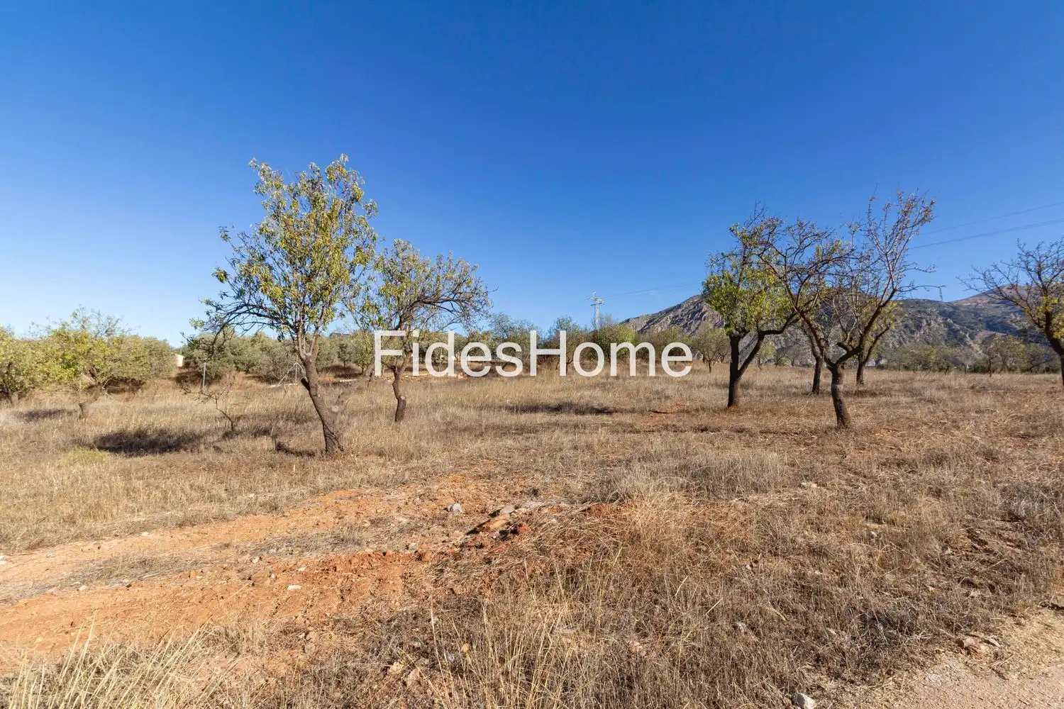 Rural land for sale in XC8V+JXJ Acequias 0, imagen 3