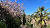 Jardí de Casa o xalet en venda en Colmenar