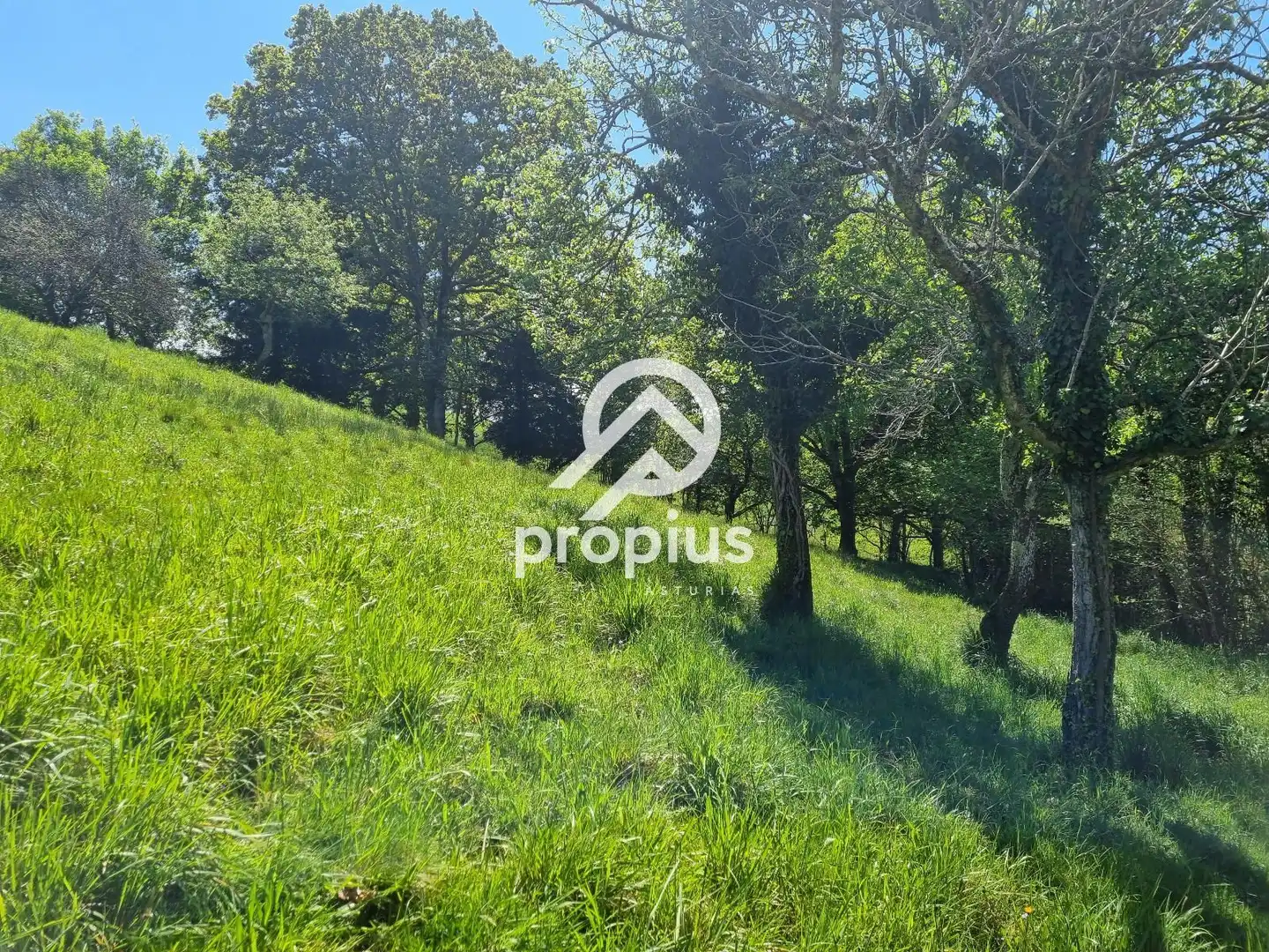 Terreno residencial en venta en EL COLLADO DE SANTO TOMÁS, imagen 6