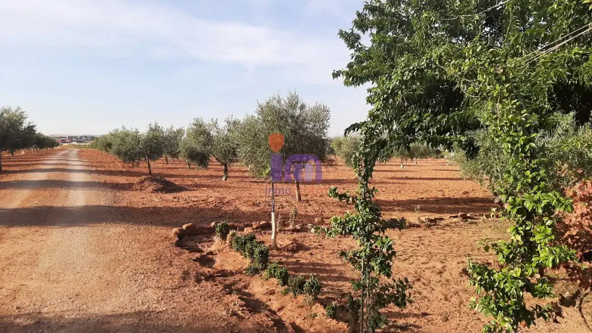 Casa rústica en venda a Valdepeñas, imagen 48