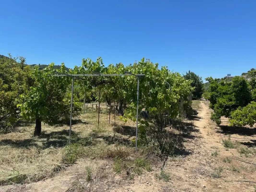 Terreno en venta en La Font d'en Carròs
