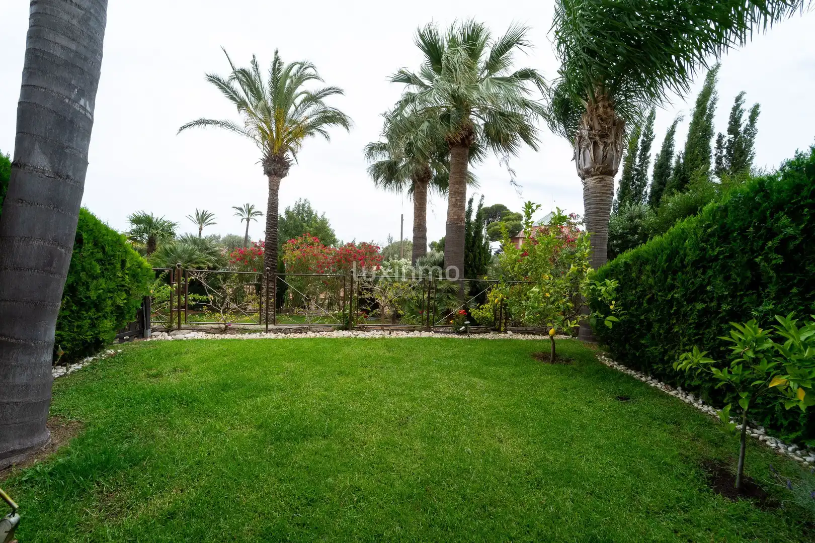 Ground floor for rent in Altea, Alicante