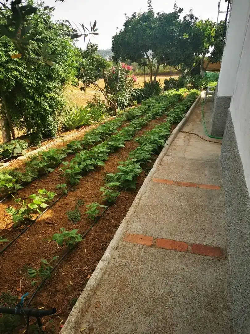 Jardí de Casa o xalet en venda en Cazalla de la Sierra