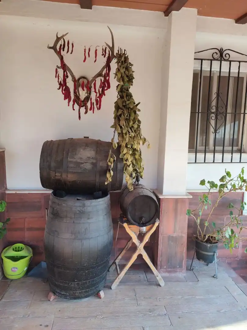 Casa rústica en venda a Arcos de la Frontera, imagen 18