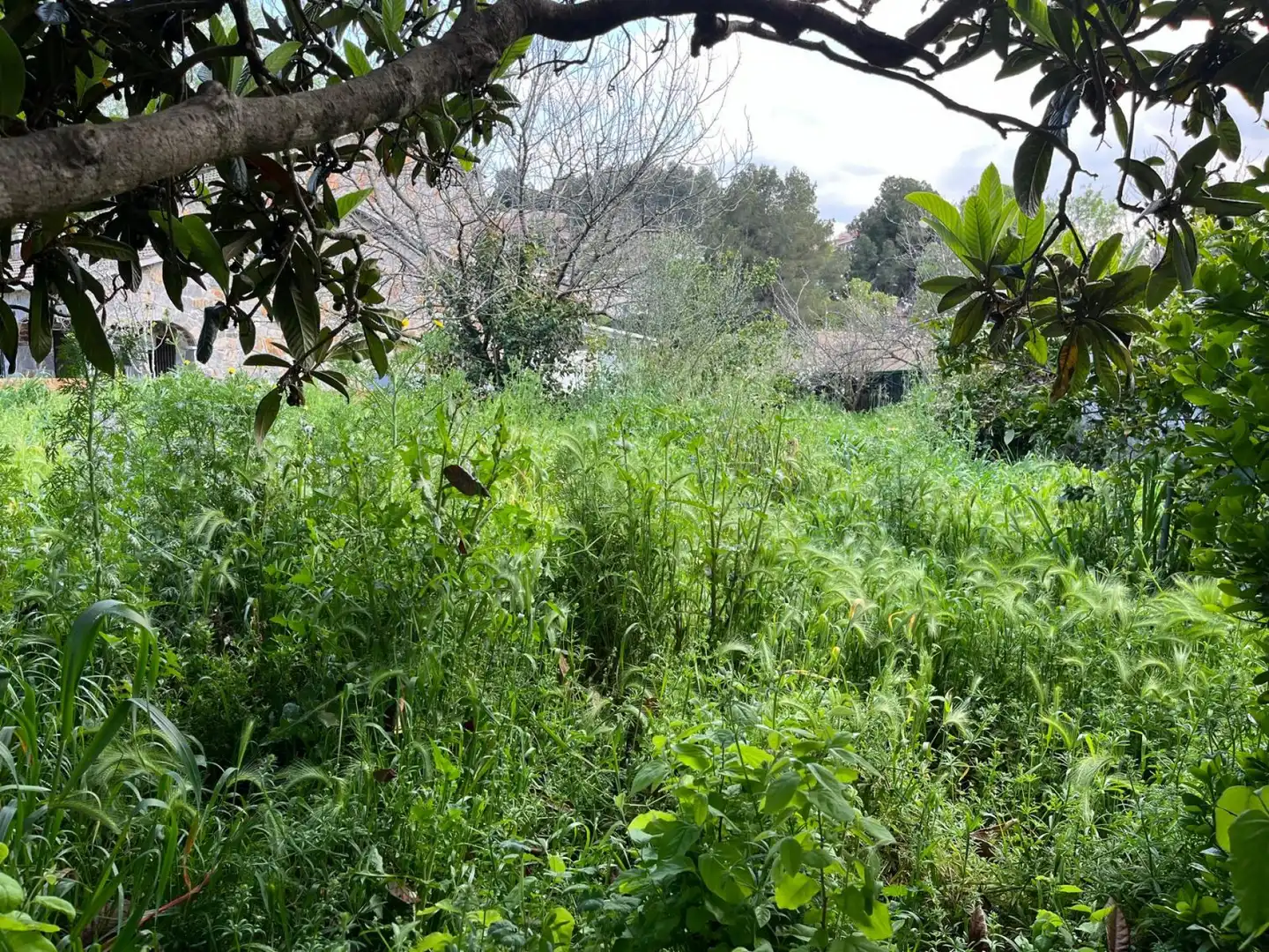 Villa con giardino in vendita a de Vilanova, imagen 25