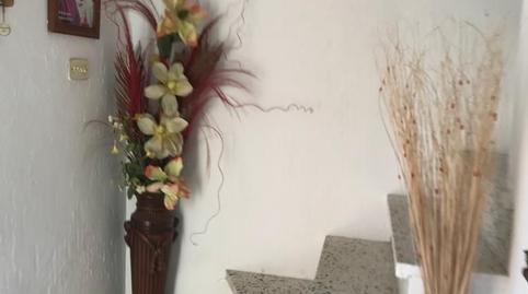 Foto 3 de Finca rústica en venta en Villanueva de Algaidas, Málaga