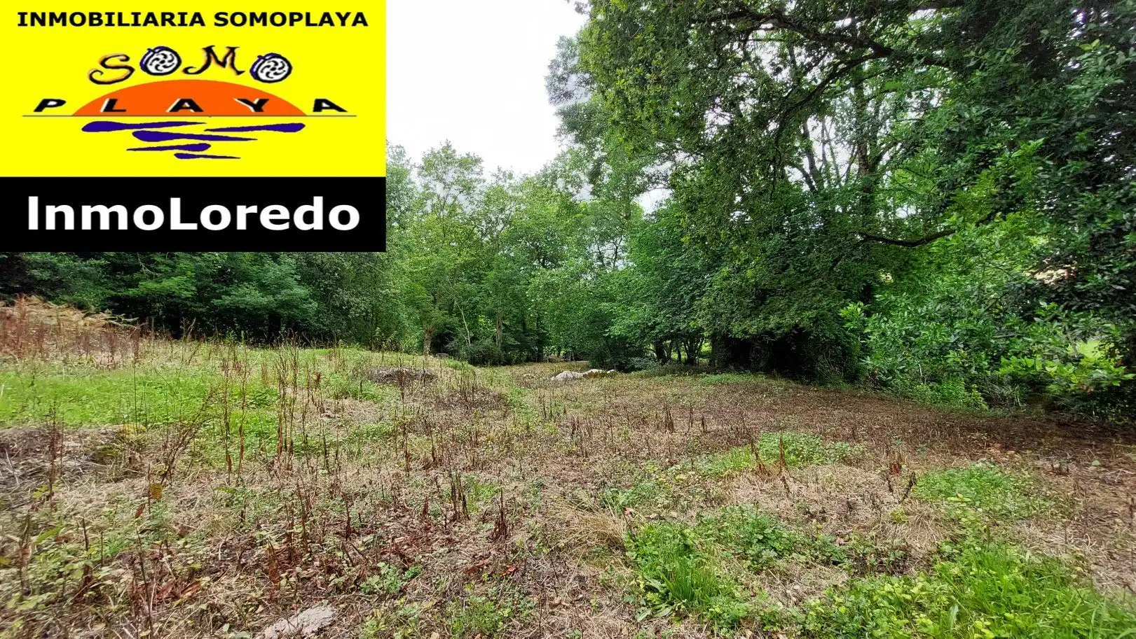 Terreni e lotti in vendita a Ribamontán al Monte, imagen 3