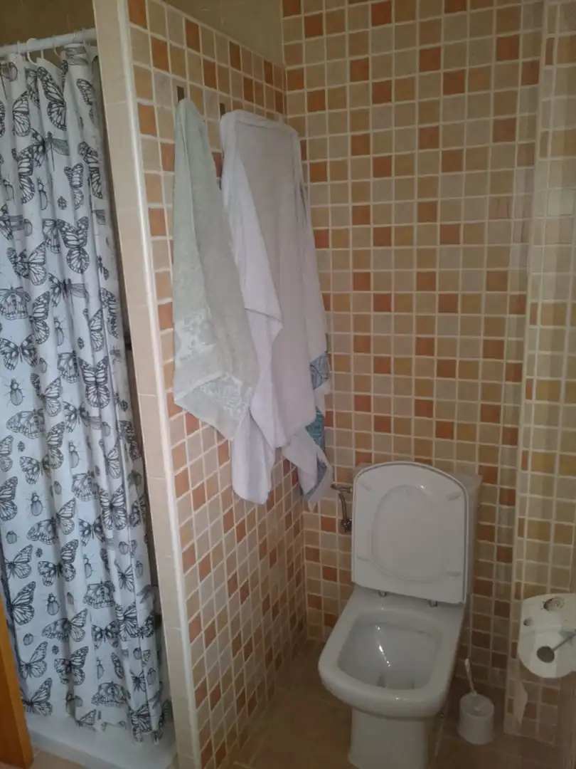 Bany de Casa o xalet en venda en Quintana del Puente amb Calefacció, Jardí privat i Terrassa