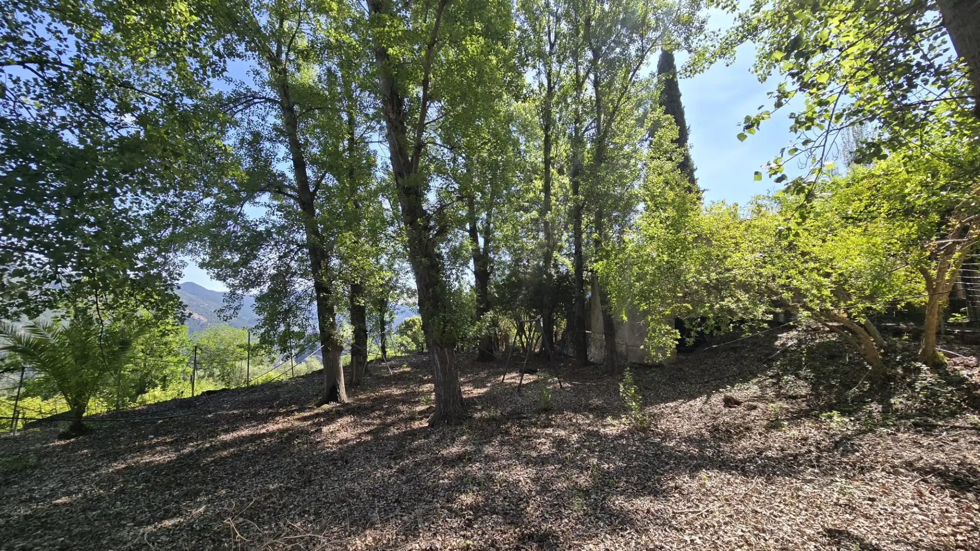 Finca rústica en venta en Villanueva del Arzobispo con Calefacción, Trastero y Piscina
