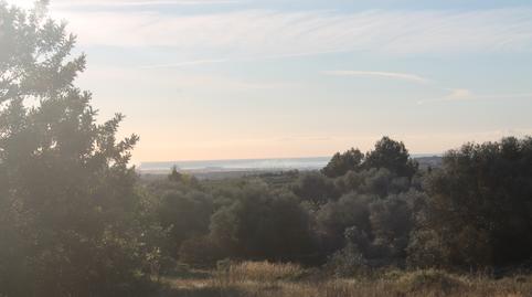 Foto 2 de Finca rústica en venda a N/a, -1, Càlig, Castellón