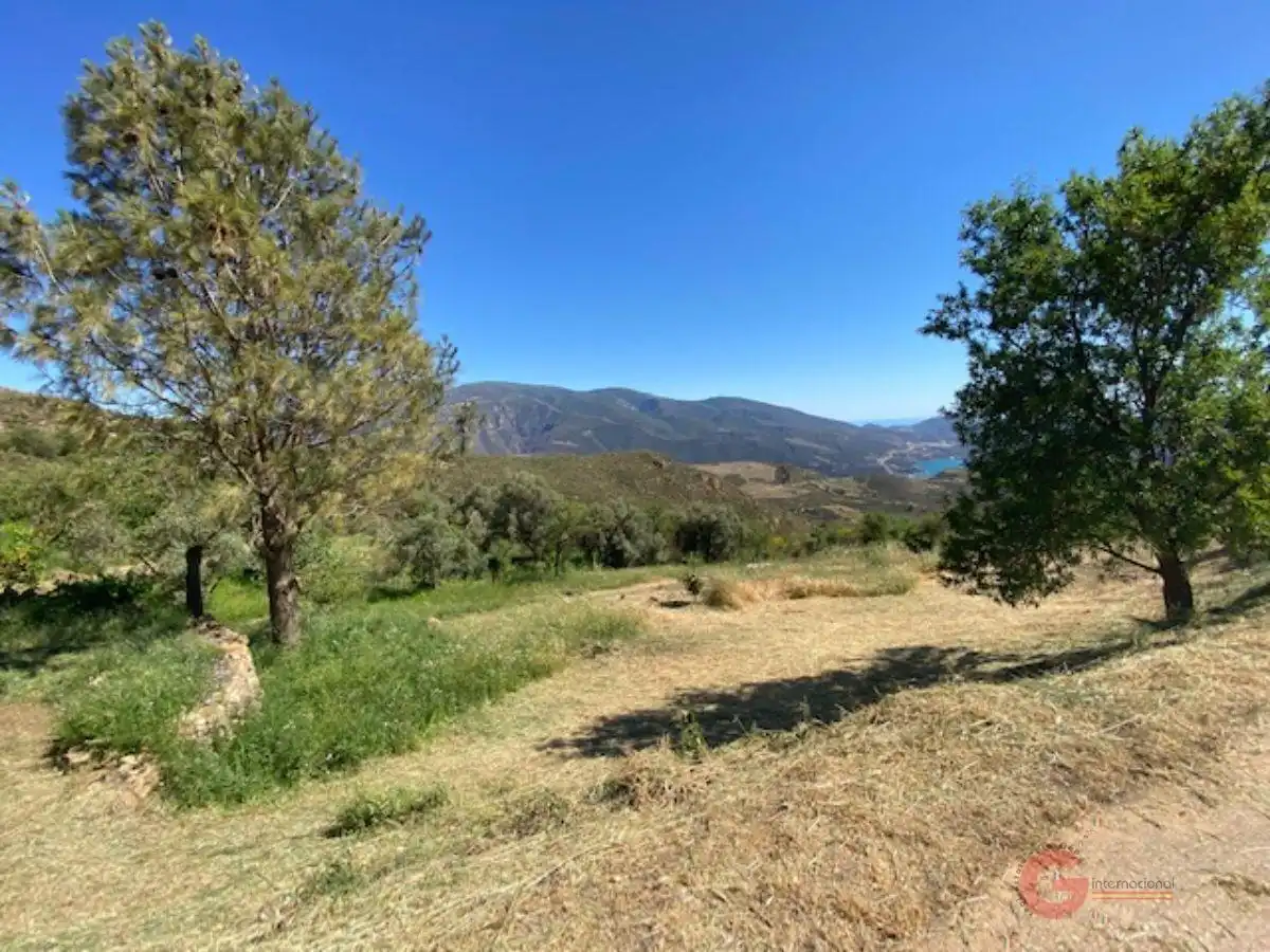 Finca rústica en venta en Lanjarón