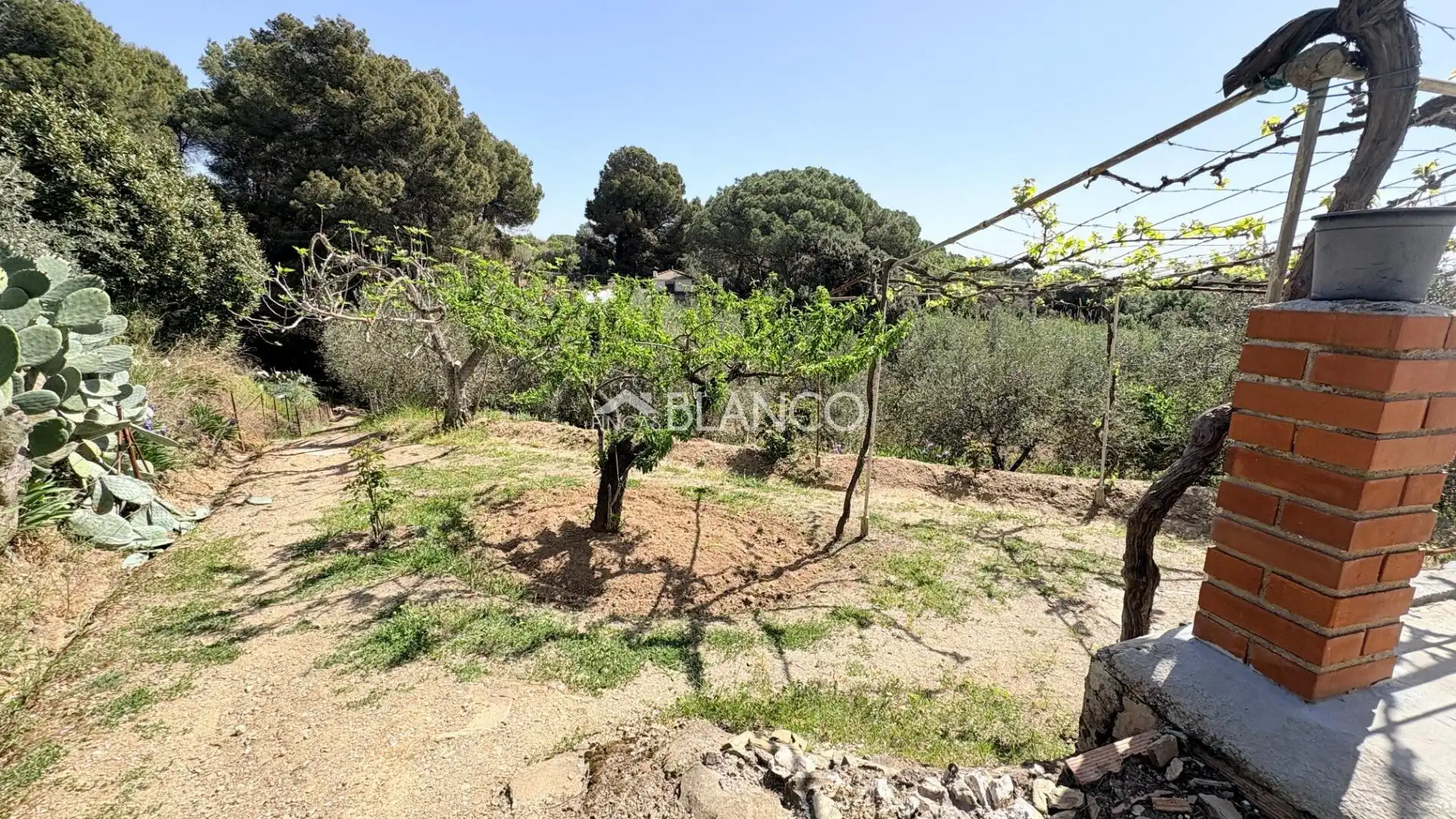 Casa o xalet en venda en Piera amb Jardí privat