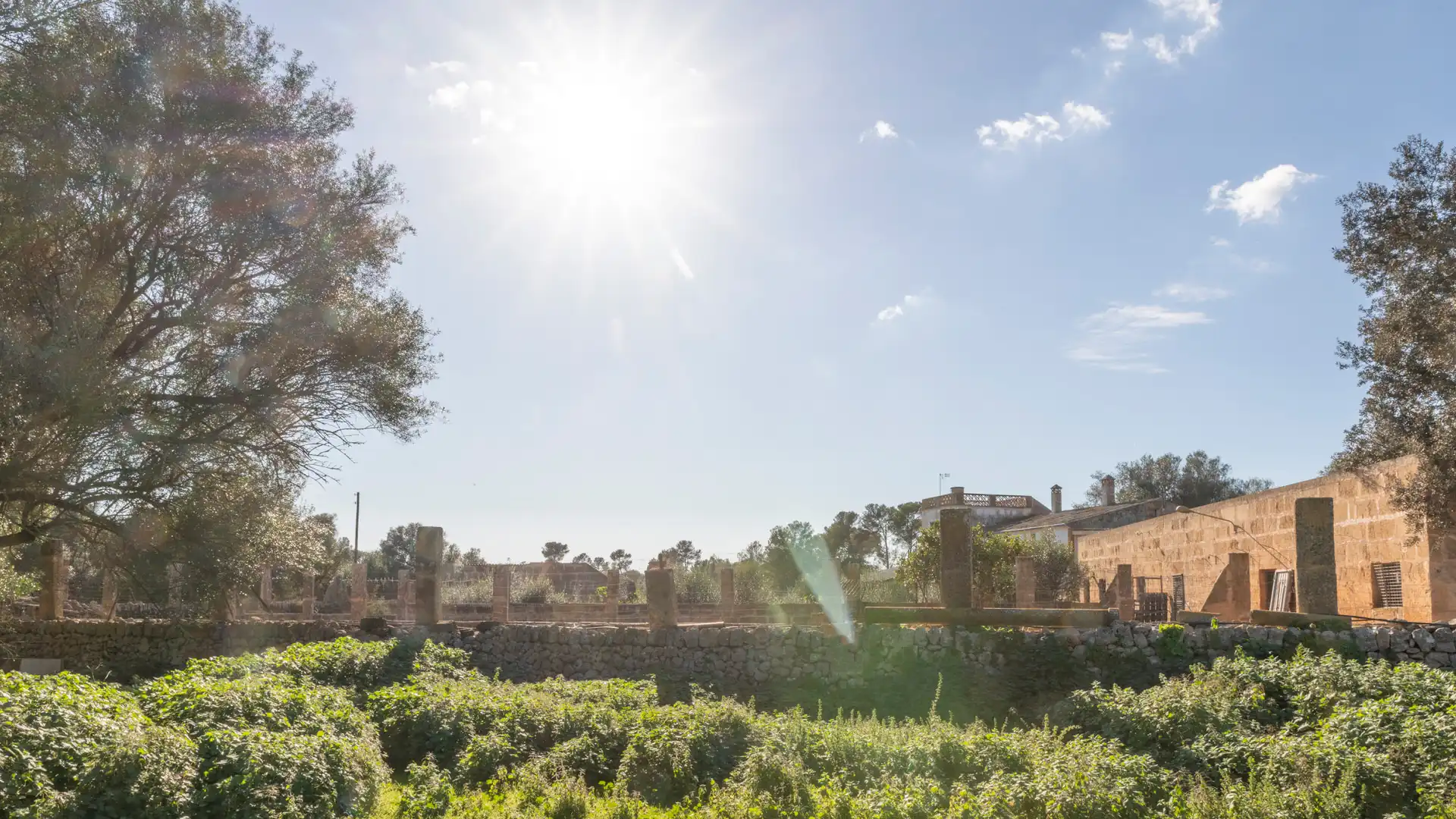 Jardín de Finca rústica en venta en Vilafranca de Bonany con Terraza, Trastero y Balcón