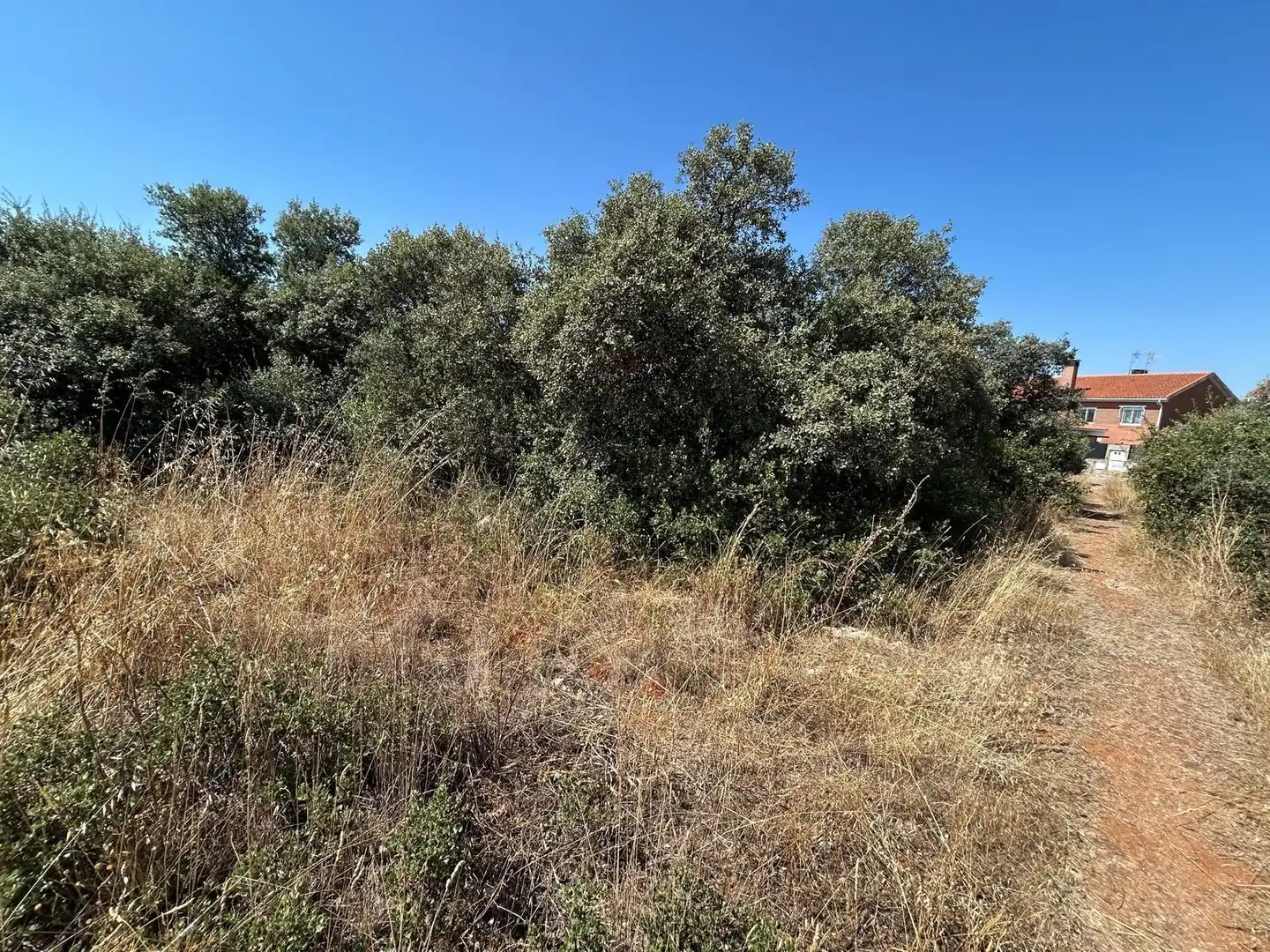 Terreno residencial en venta en Pioz, imagen 10
