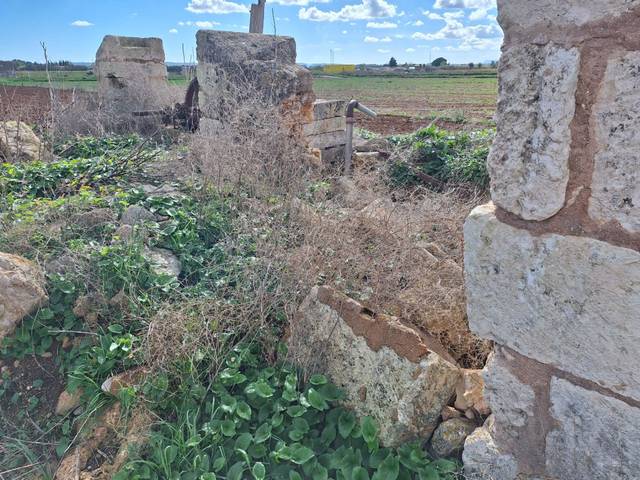 Terreno residencial en Venta en Sa Pobla